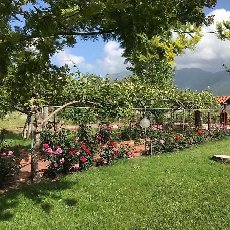 Отель Alma Migrante Bed&Wine Telese Terme Экстерьер фото