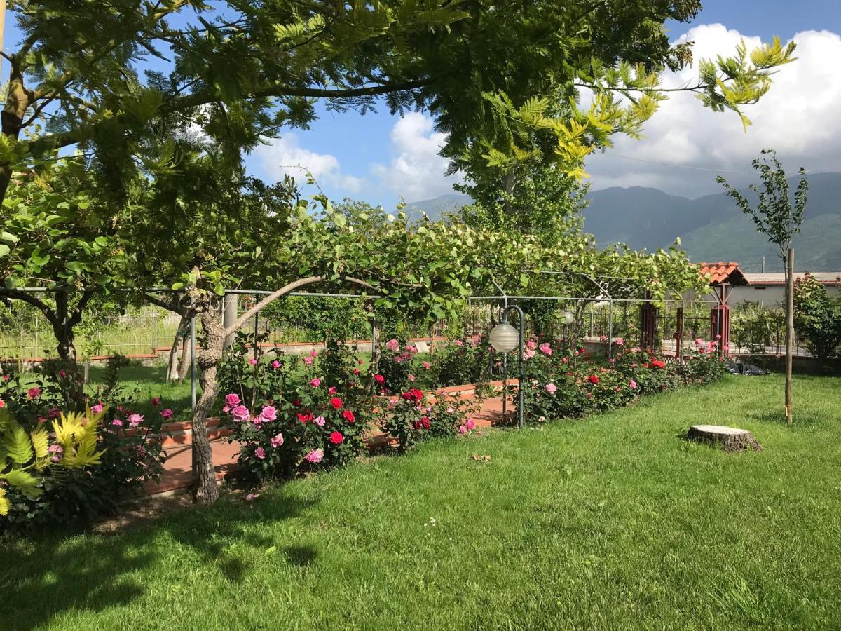 Отель Alma Migrante Bed&Wine Telese Terme Экстерьер фото